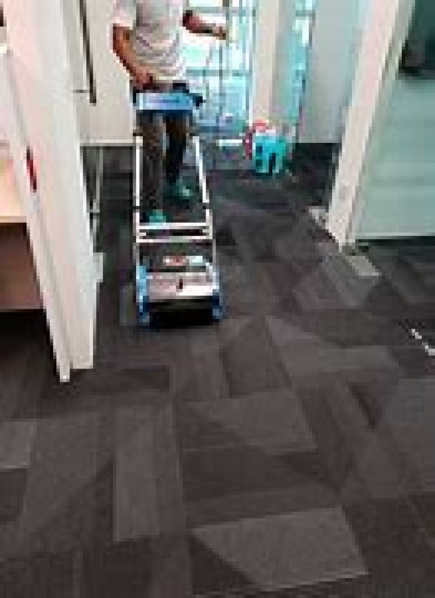 Why Profеssional Carpеt Clеaning Sеrvicеs is a Nеcеssity