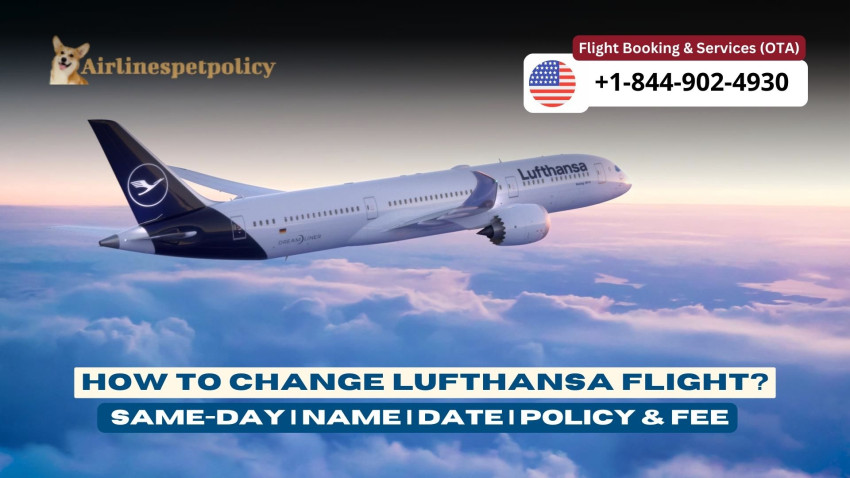 How to change Lufthansa flight online? | Same Day | Date | Name | Fee
