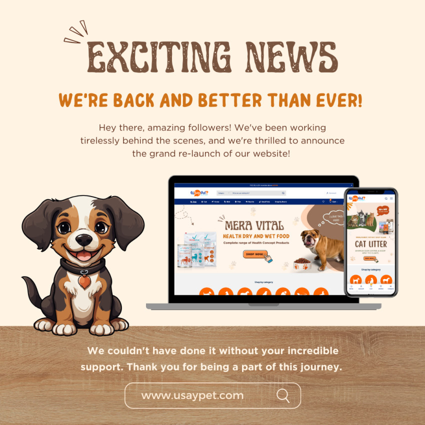 How to Find the Best Play School for Your Little One?