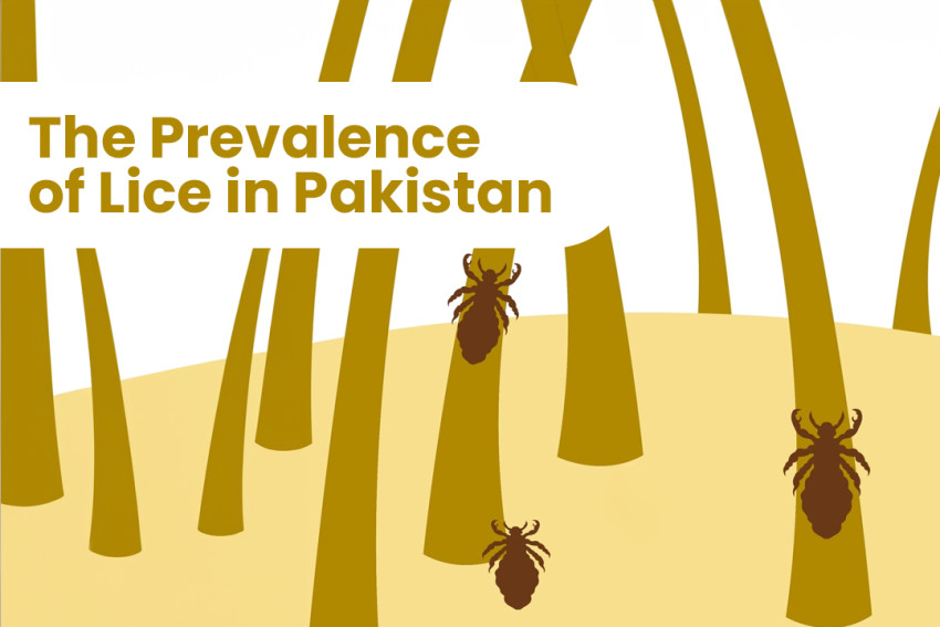 Head Lice Demystified: Effective Treatment and Prevention Strategies