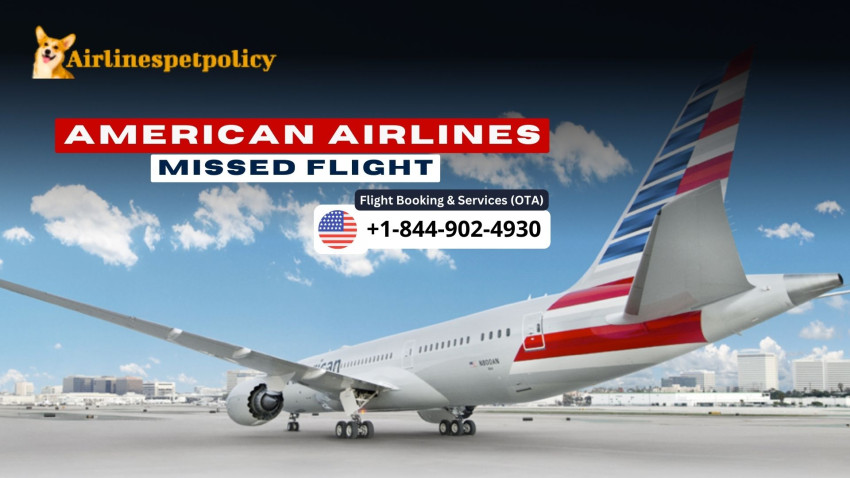 American Airlines Missed Flight | Rebook | Reschedule & Deals