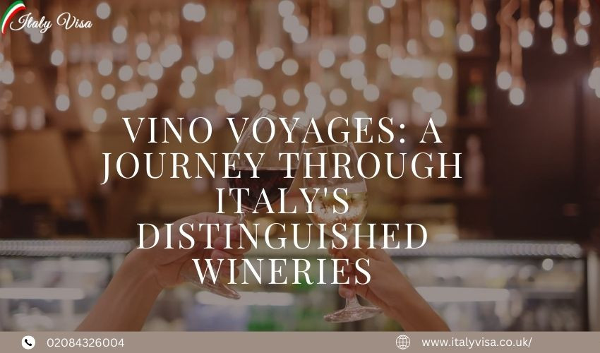 Vino Voyages: A Journey through Italy's Distinguished Wineries