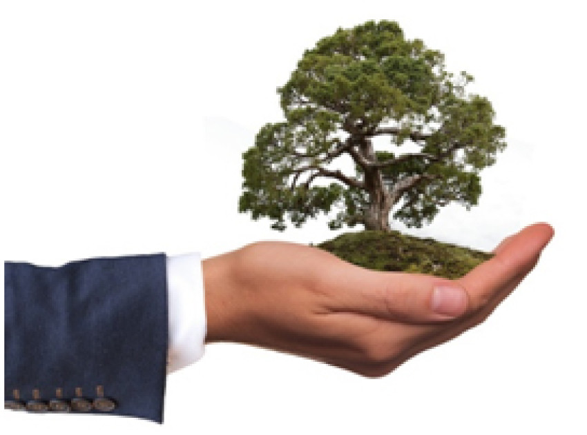 Navigating Sustainability: The Significance of ISO 14001 Certification