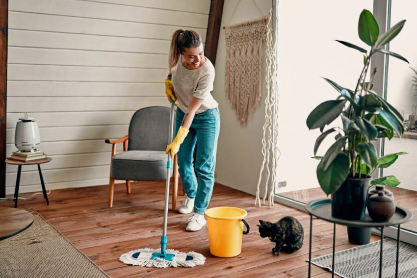 Expert Move Out Cleaning Services for Your Convenience