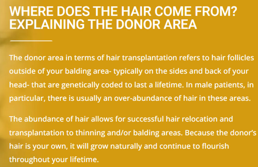 Natural Approaches to Hair Restoration: Harnessing the Power of Nature