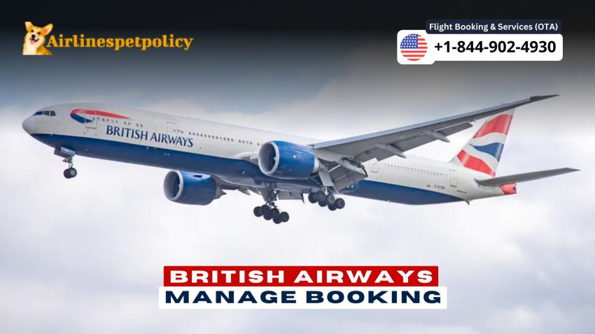 How do I manage booking with British Airways?