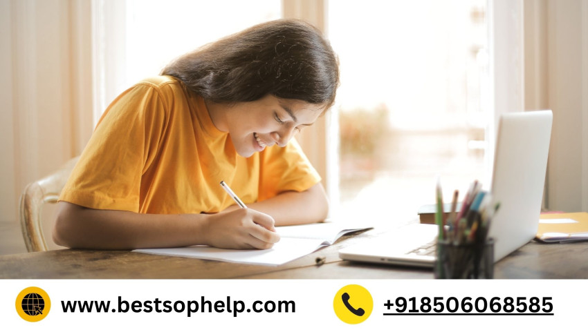 The Role of a Professional SOP Help Provider in Your Academic and Professional Journey