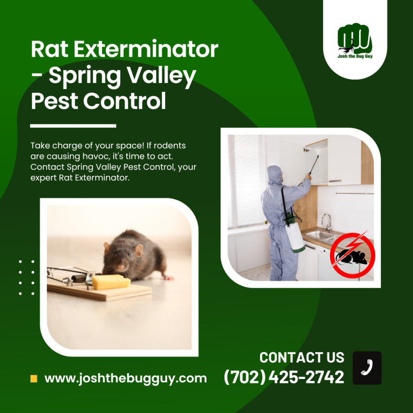 Unmasking The Art Of Rat Extermination In Las Vegas