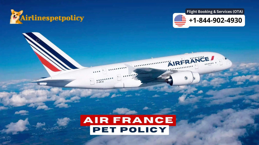 Air France Pet Policy - ‎Travelling With Pet In Cabin & Cargo