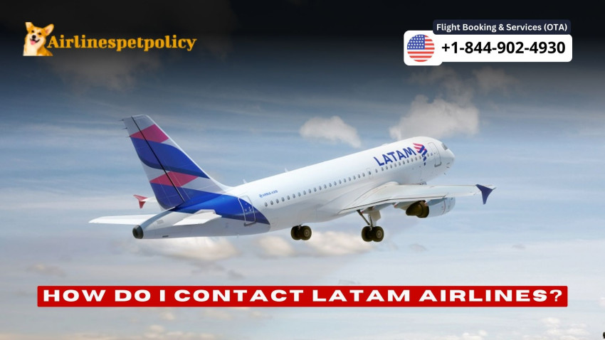How do I Contact  LATAM Airlines | 24/7 Customer Service