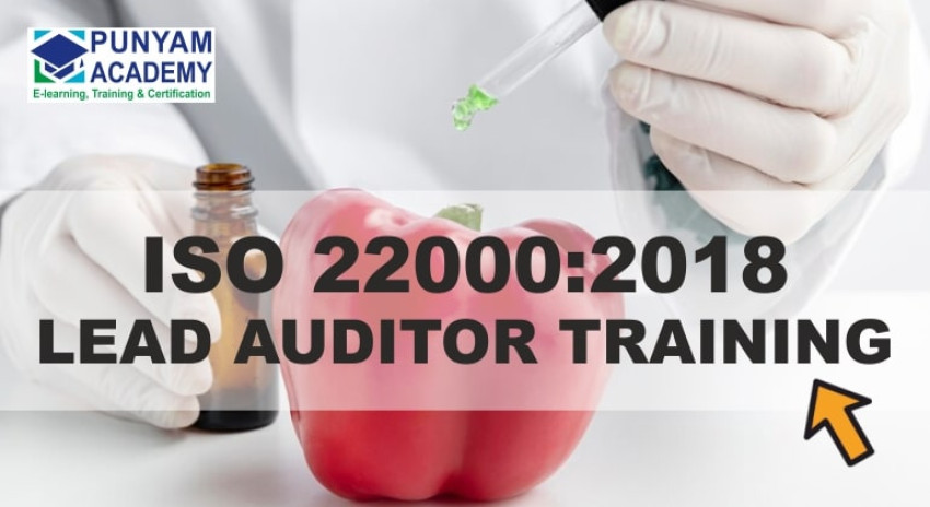 Food Safety Excellence: ISO 22000 Lead Auditor Training Explained