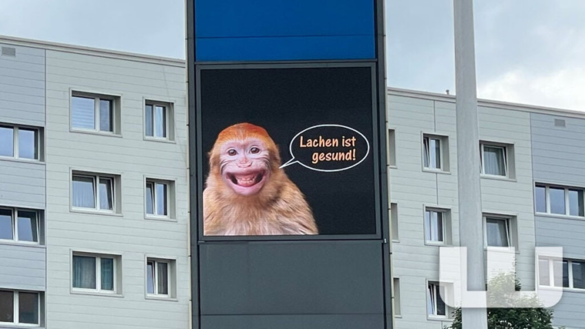 Visual Brilliance: Elevate Your Brand with Our Expertise as a Graphic Display Manufacturer