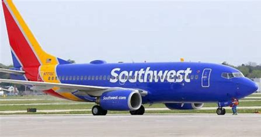 Southwest Airlines Pet Policy for cats and dogs