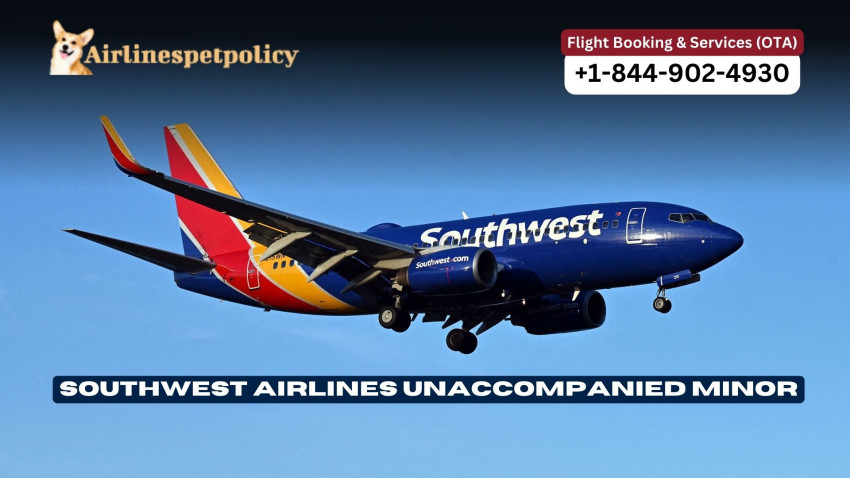 Southwest Unaccompanied Minor | Policy & Fee