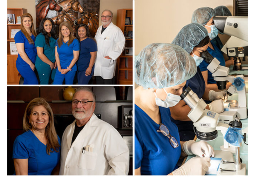 Hair Restoration for Women: Addressing Female Pattern Baldness