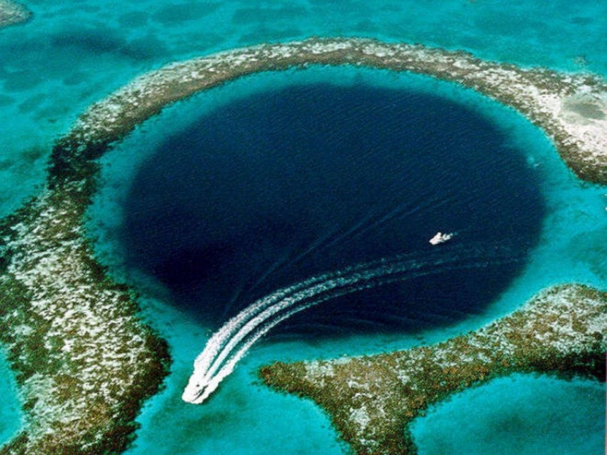 Interesting things under the ocean