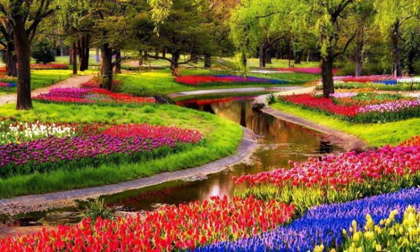 Top 5 places to visit in Netherland