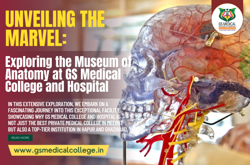 Unveiling the Marvel: Exploring the Museum of Anatomy at GS Medical College and Hospital