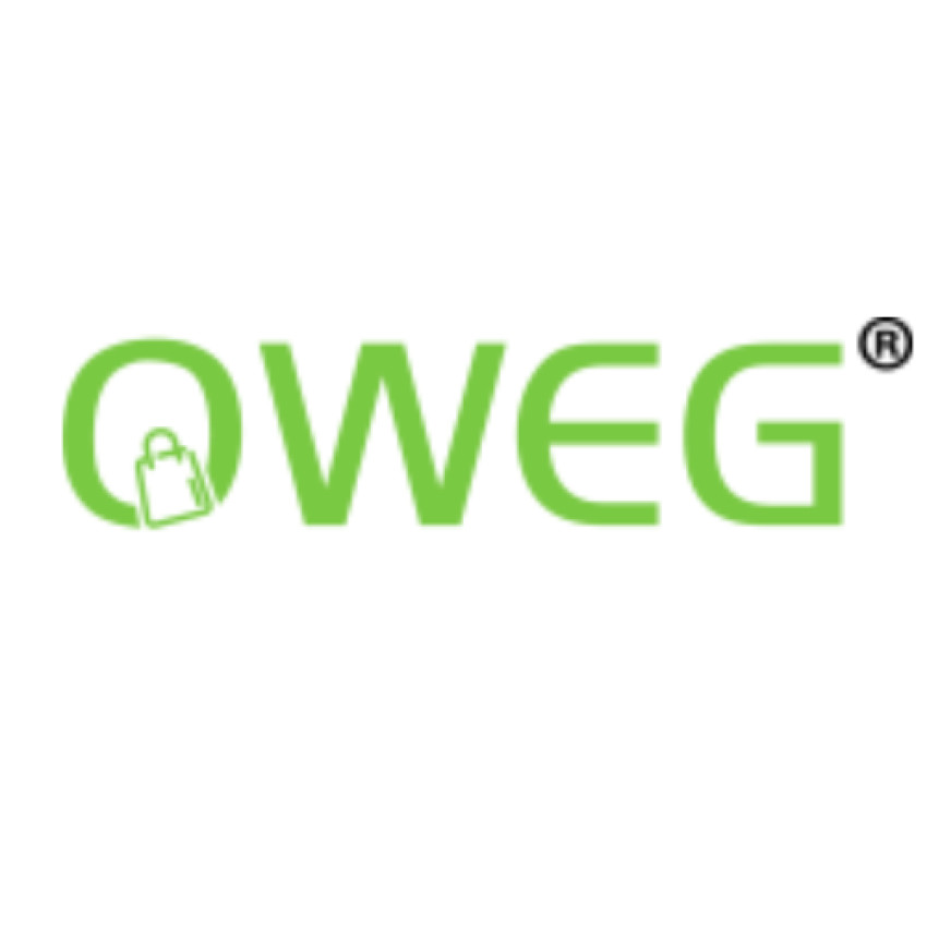 Enhance Your Culinary Experience with the Oweg Maharaja Hand Blender