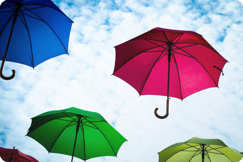 How to Compare Umbrella Companies in the UK