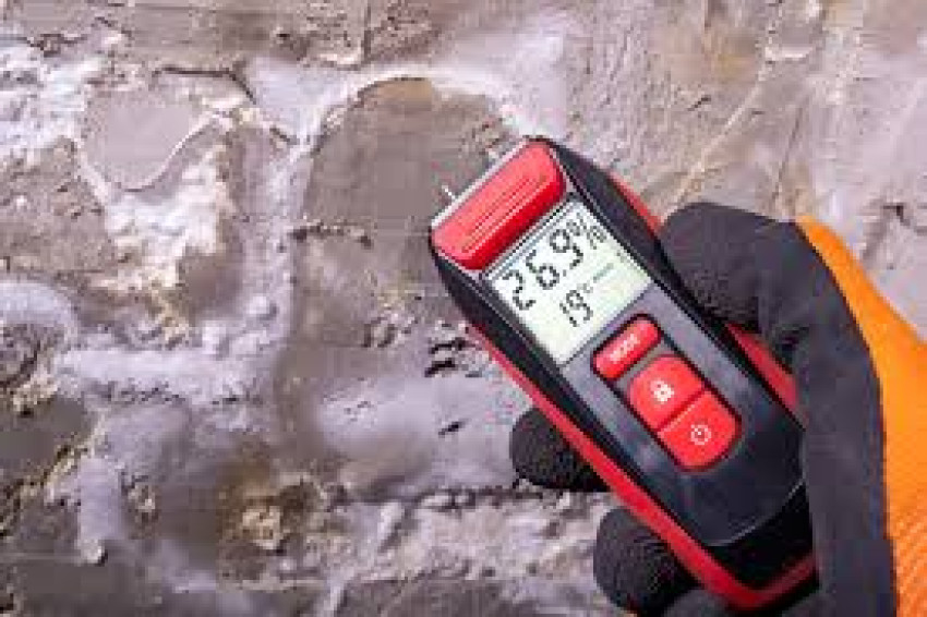 The Impact of Climate on Mold Growth in Birmingham and Testing Solutions