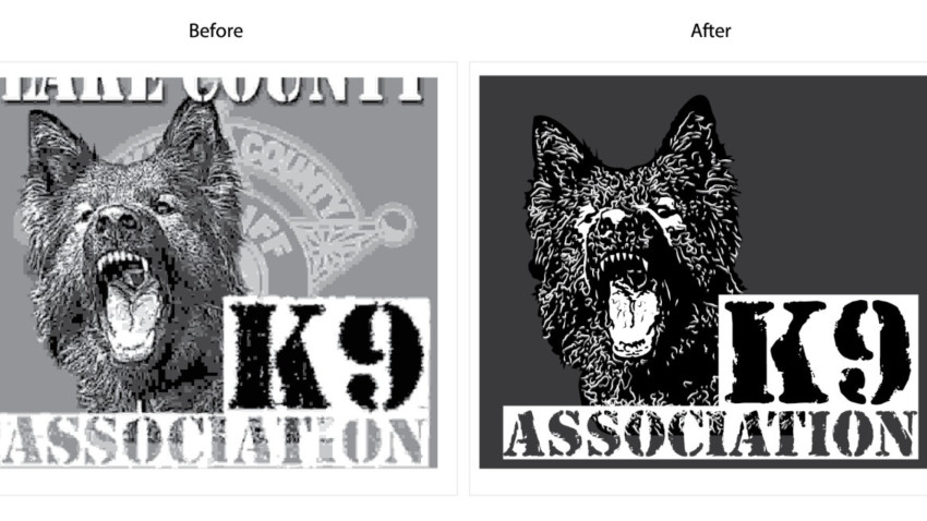 Exploring the Precision of Vector Conversion in Design