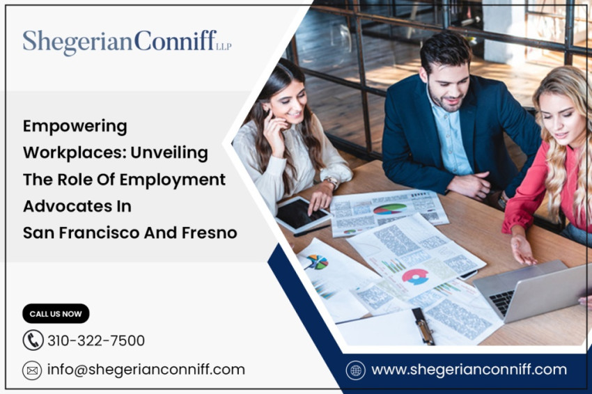 Empowering Workplaces: Unveiling the Role of Employment Advocates in San Francisco and Fresno