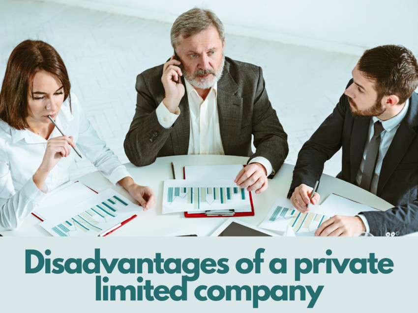 Disadvantages of a Private Limited Company