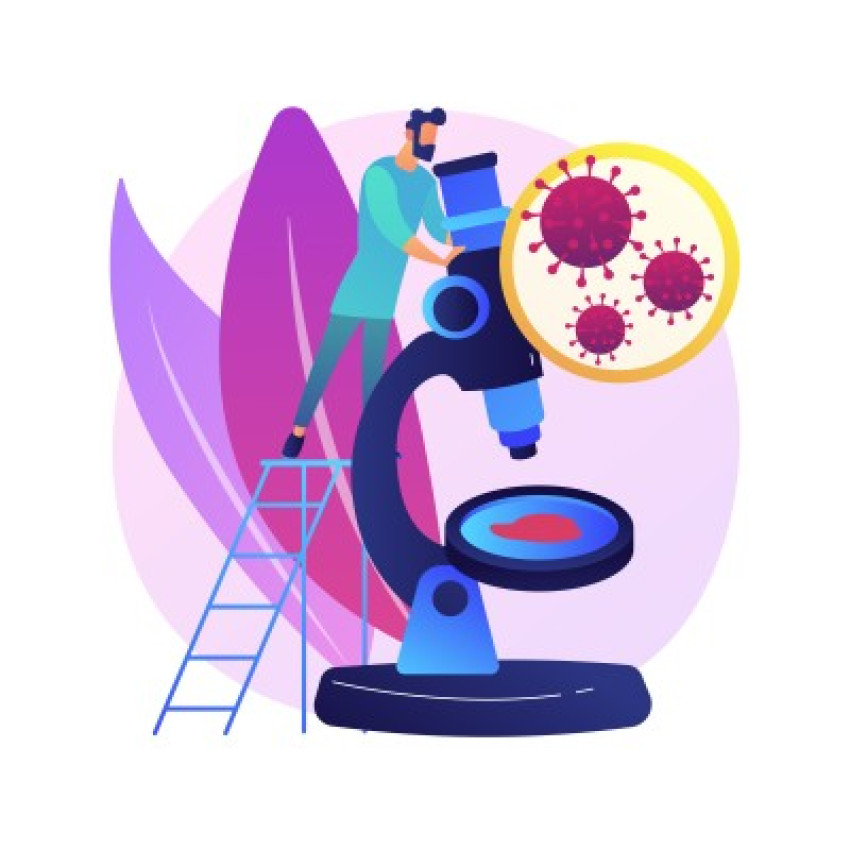 Unlocking Plant Potential: The Power of Potash Mobilizers