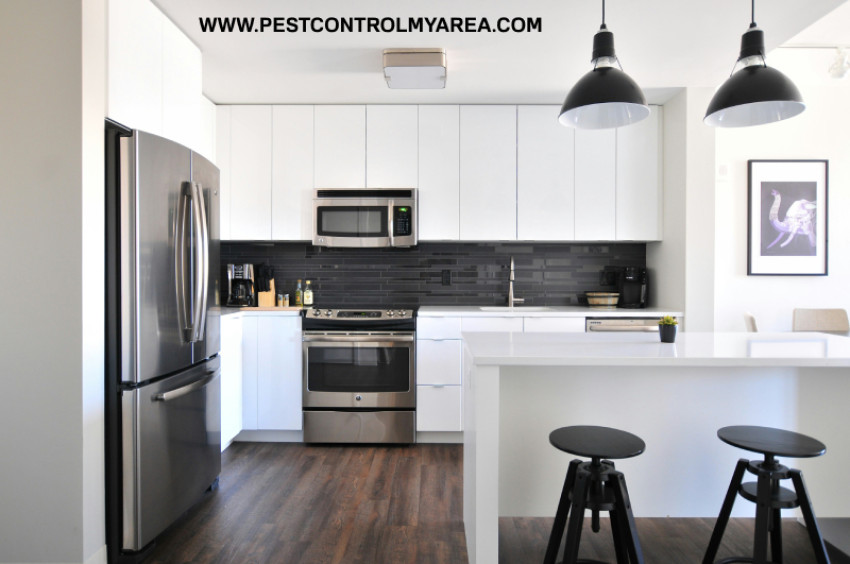 How To Find Home Exterminator Near Me