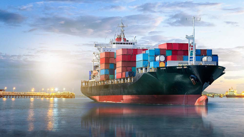 The Rise of Robotics in Warehousing: Redefining Efficiency and Resilience in the Supply Chain