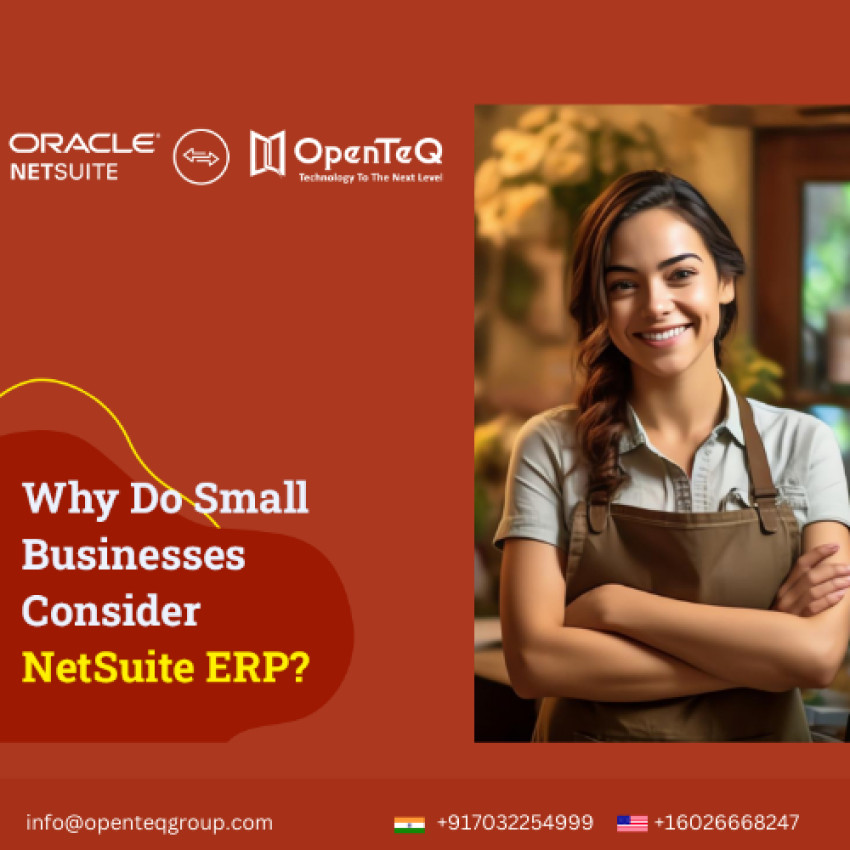 Navigating Business Success with NetSuite ERP Solution Provider