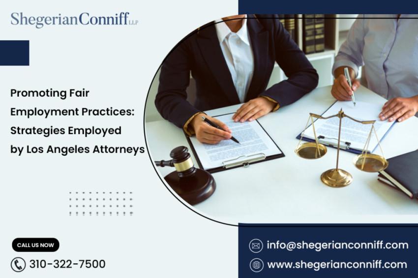 Promoting Fair Employment Practices: Strategies Employed by Los Angeles Attorneys