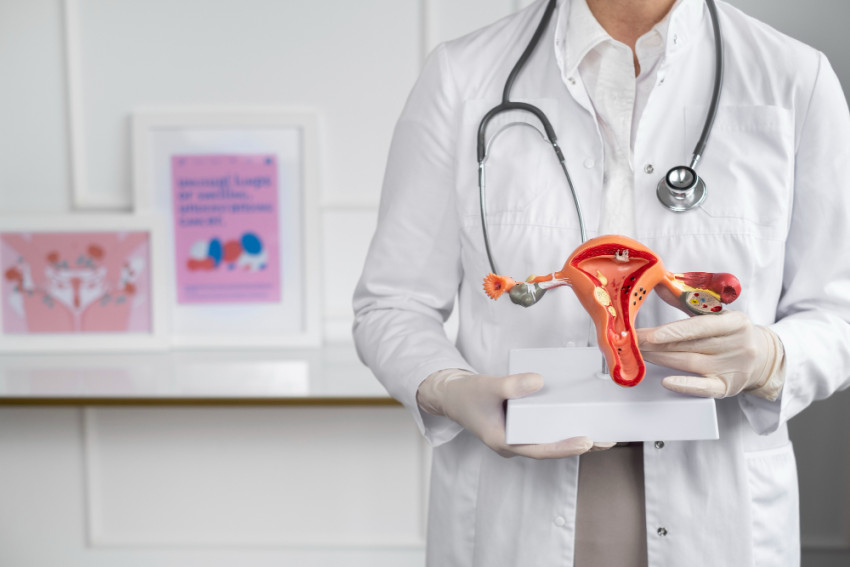 Understanding the Typical Gynecological Conditions