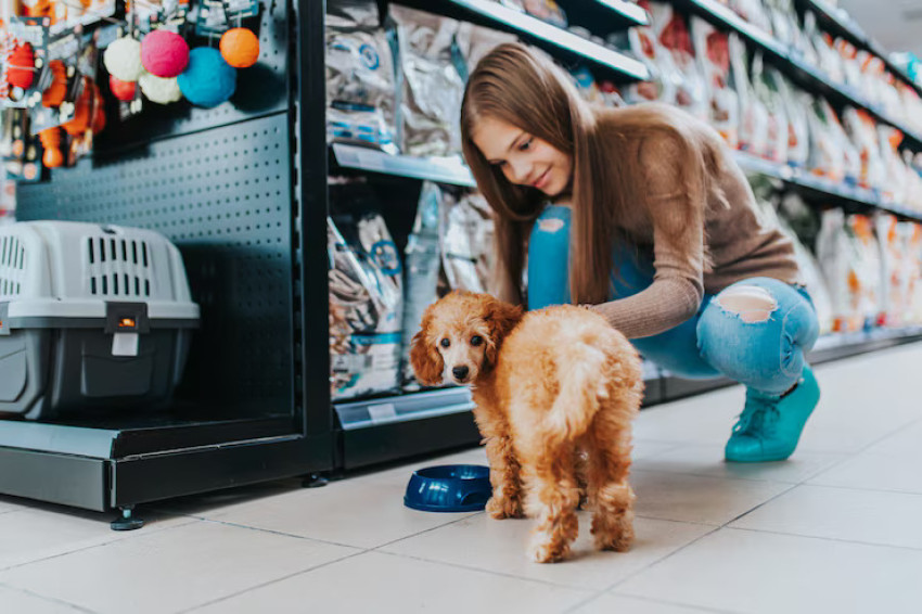 The Benefits of Shopping at Online Pet Shops Singapore