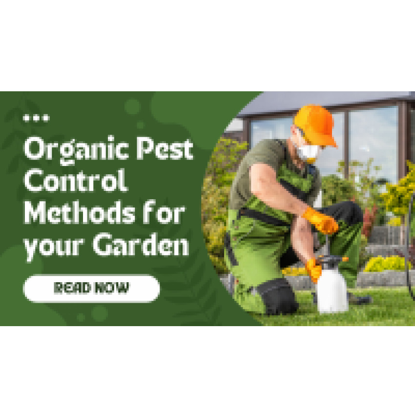 Organic Pest Control Methods for your Garden