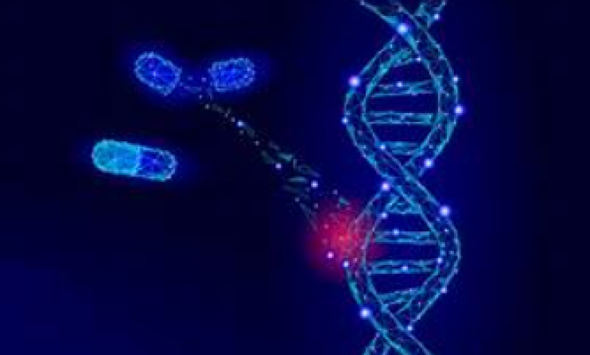 Possibilities Of Genetic Engineering: An Insight Into Gene Therapy