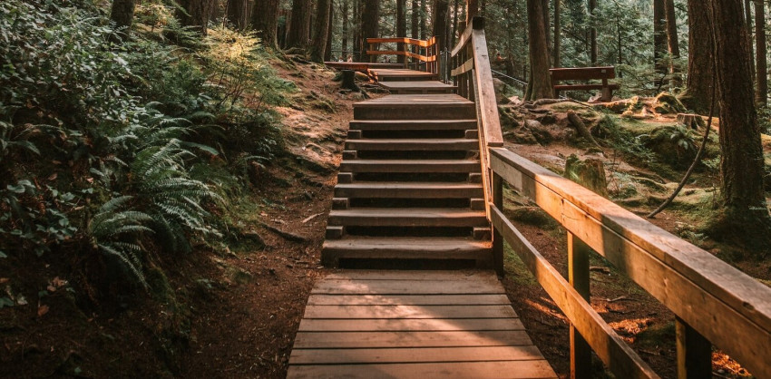 Walk and Talk Therapy: An Innovative Approach to Healing