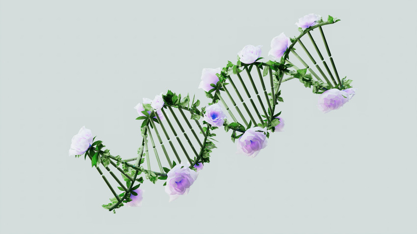 Genomics Market Insights, Forecast, Growth, Trends: 2024-2033