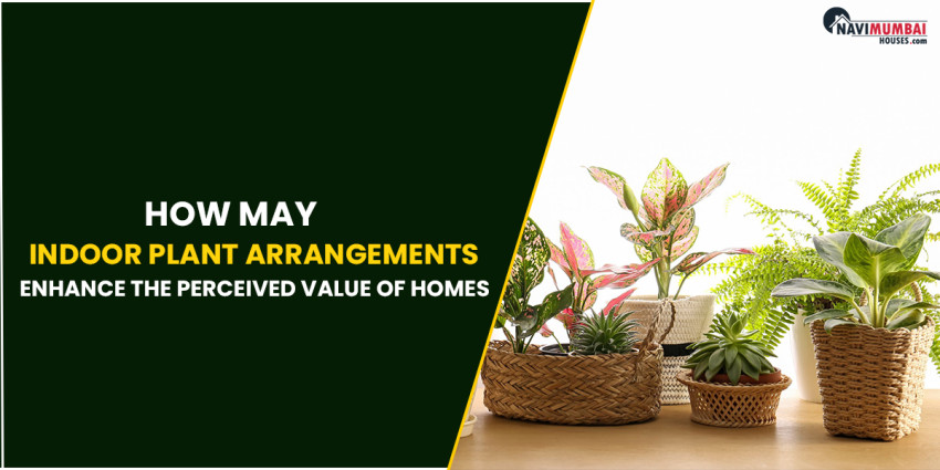How may indoor plant arrangements enhance the perceived value of homes?