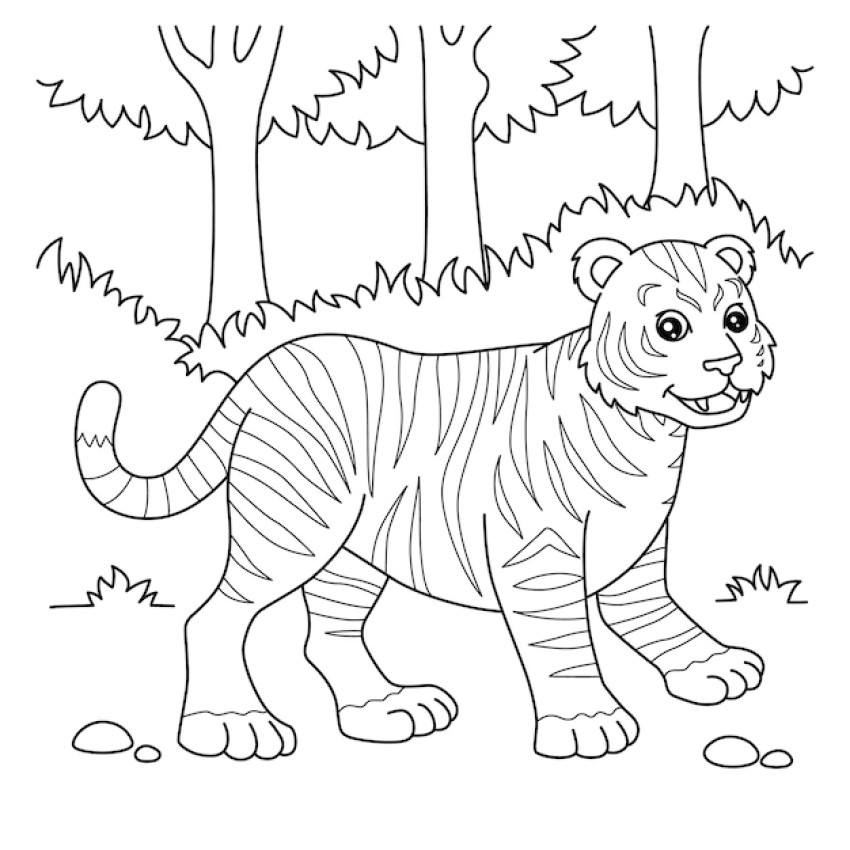 How To Draw Tiger Drawing For Kids Step By Step