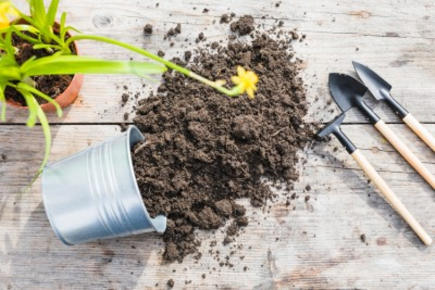 Maximizing Crop Yields with Innovative Soil Conditioners