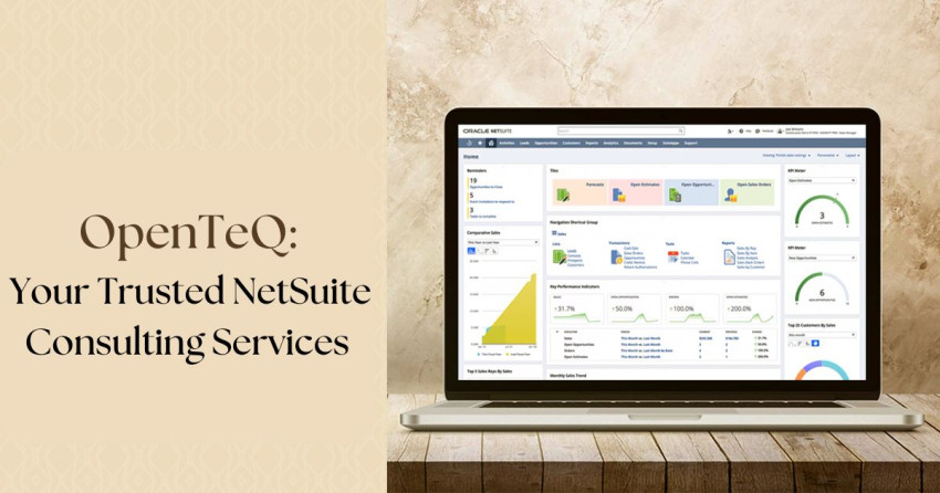 OpenTeQ: Your Trusted NetSuite Consulting Services