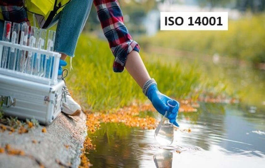 How ISO 14001 Certification is Shaping Sustainable Business Practices?