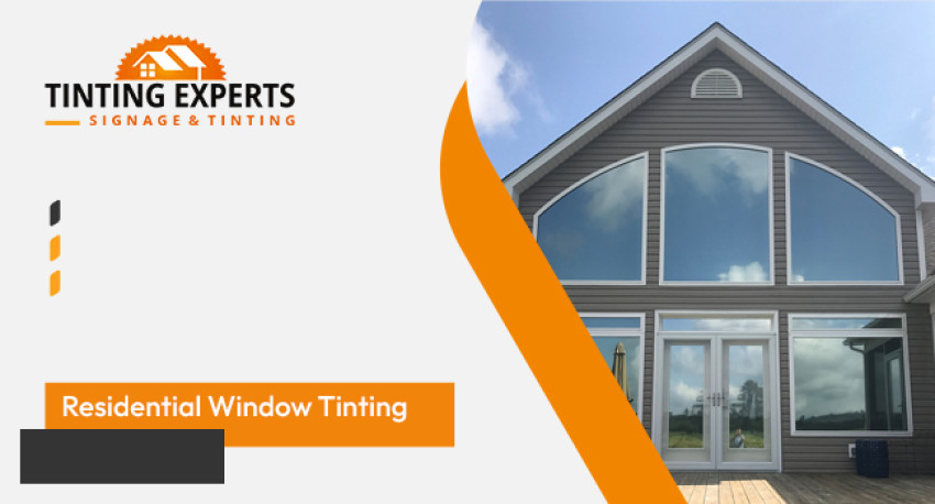 Enhance Comfort and Privacy with Affordable Window Tinting in Auckland and North Shore
