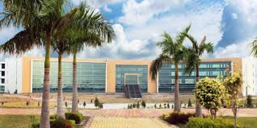 Pharmacy Institute: Top Pharmacy Education for Future Healthcare Professionals