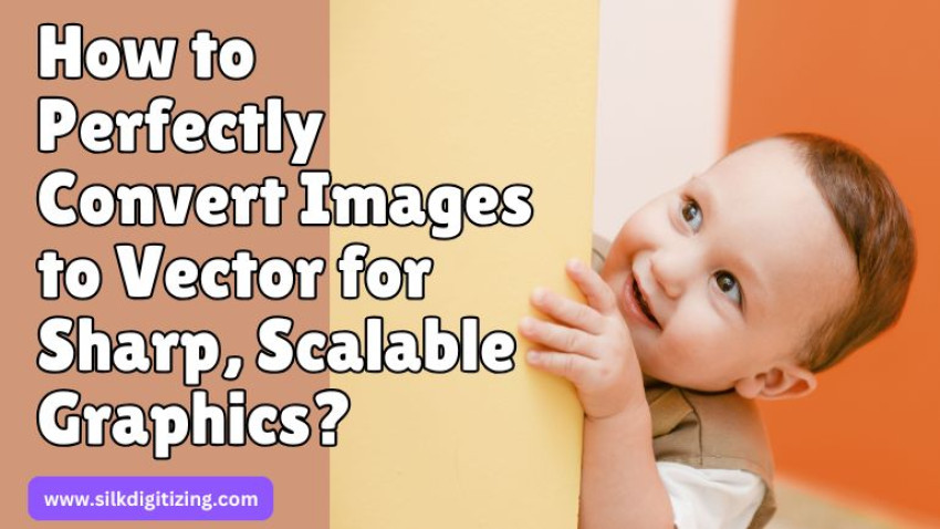 How to Perfectly Convert Images to Vector for Sharp, Scalable Graphics