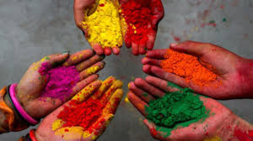 Celebrate Holi in Canada with TOTA’s Premium Colors