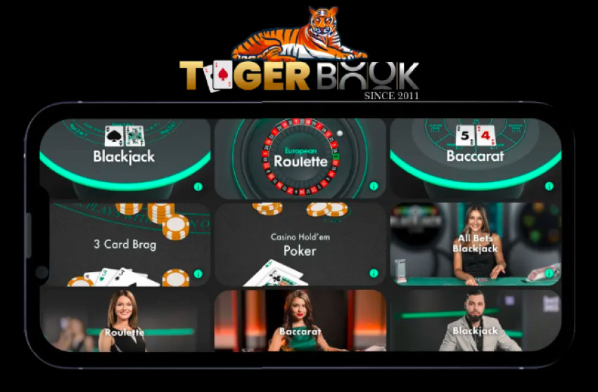 Online Cricket Betting with TigerBook: A Winning Experience