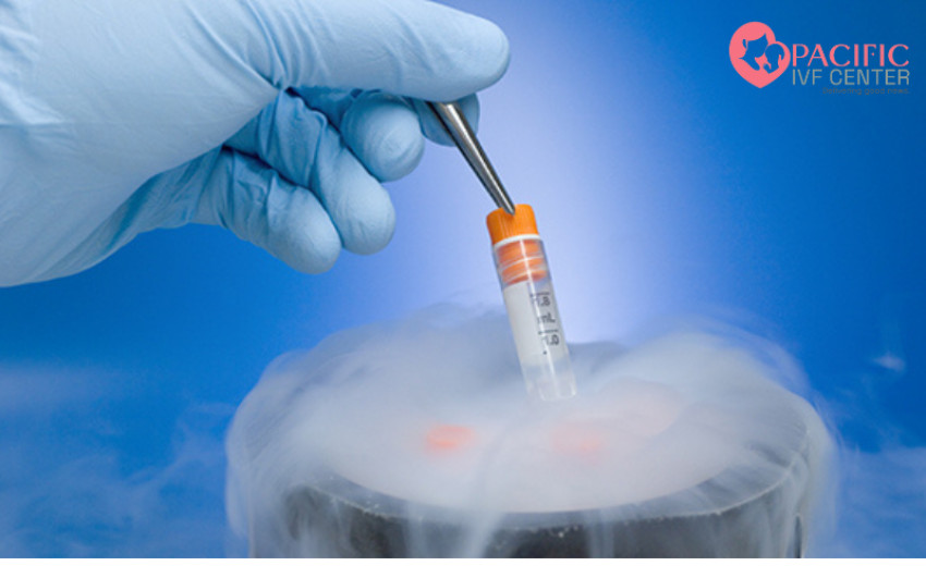 Pros & Cons of Egg Freezing for Women